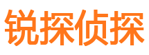 迎江外遇调查取证